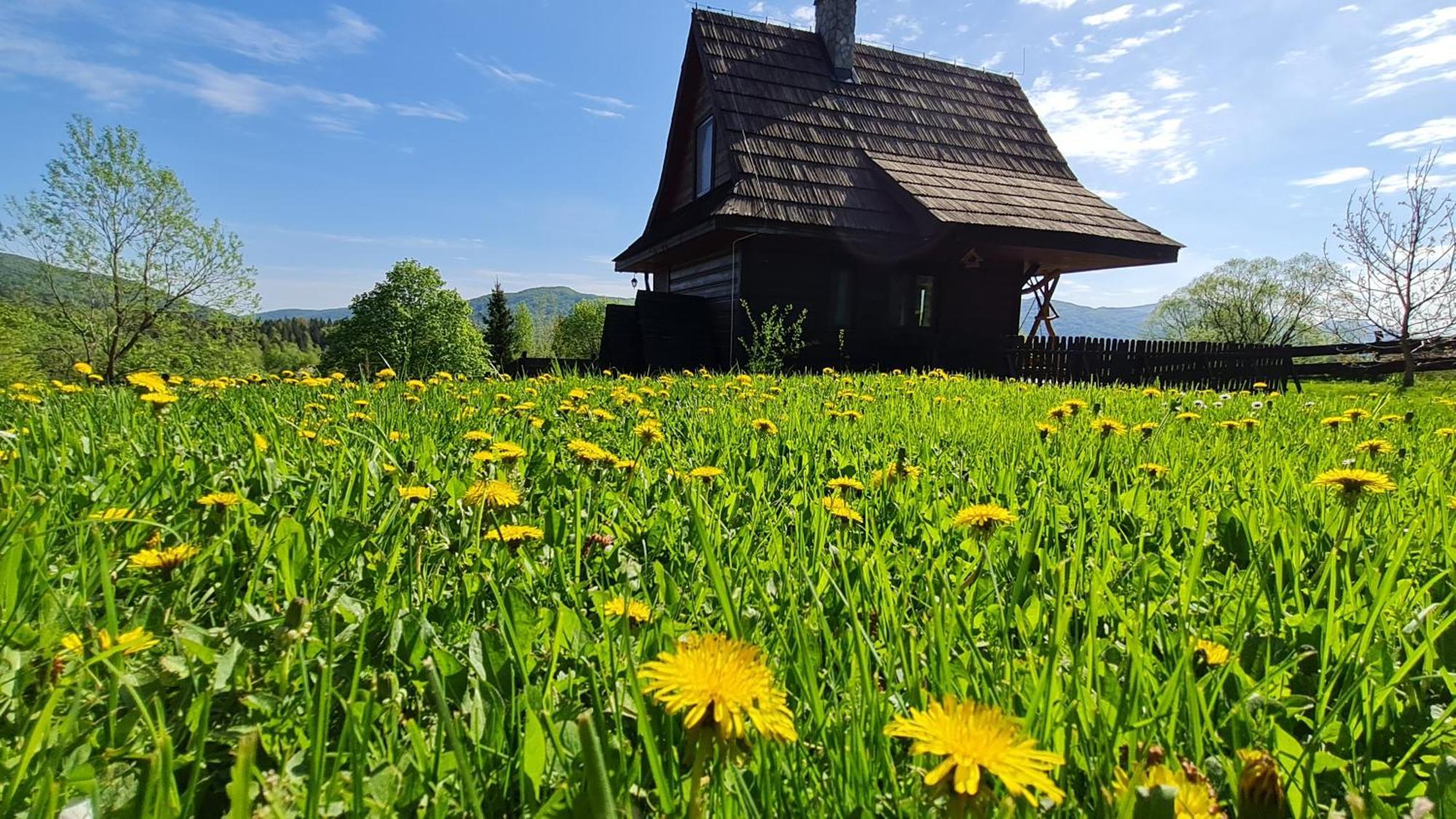 Chatka Kudlatka Wetlina Exteriér fotografie